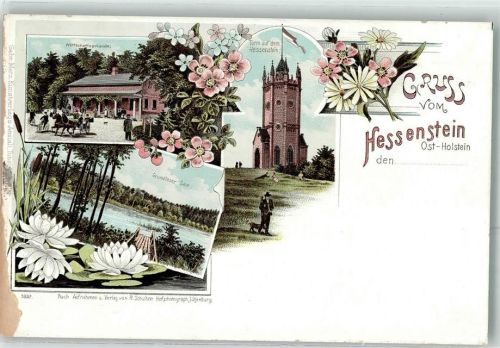 Panker Gasthaus Wirtschaftsgebäude Turm auf dem Hessenstein Grundloser See Lithographie