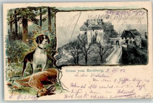 Rechberg Burg Hohenrechberg Jagdhund Reh
