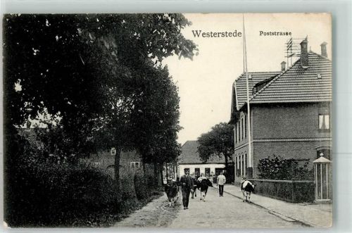 26655 W2910 Westerstede - Poststraße Kühe