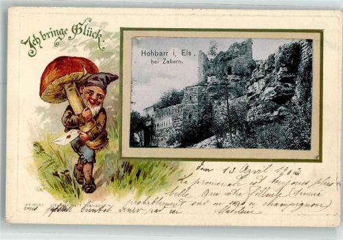 Saverne 1903 Hohbarr i. Elsass Pilz Zwerg