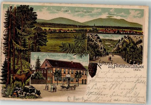 Friedrichsbrunn 1900 Kaltes Tal Hirsche Gasthaus zum schwarzen Adler Brocken