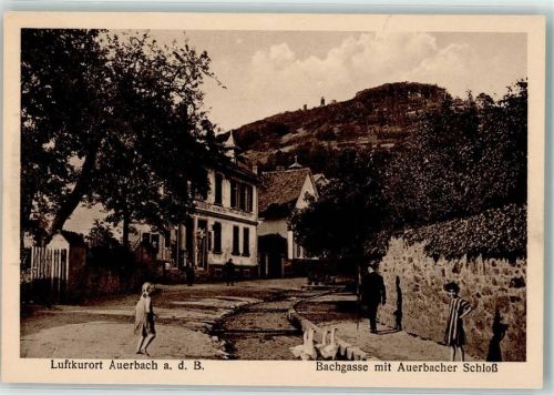 Auerbach Bachstraße Gänse Auerbacher Schloß