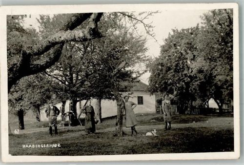 Wels Haaberger Haus