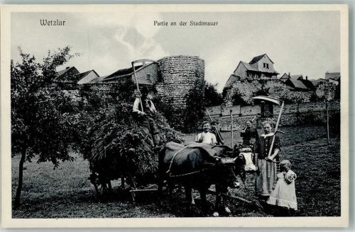 Wetzlar An der Stadtmauer Rinderfuhrwerk Bauern Sensen