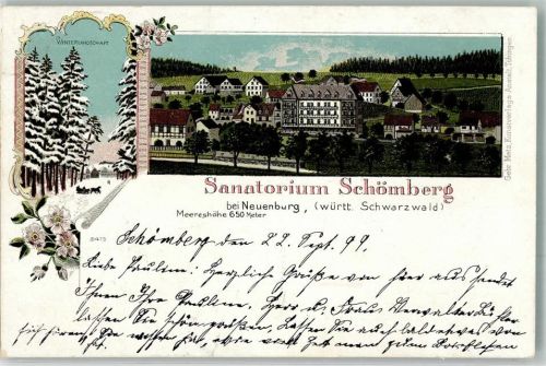 Schömberg 1899 Winter Pferdeschlitten Sanatorium Schömberg