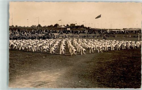 Flensburg 1927 Kreisturnfest Stadion Sportler-.Mannschaft Ort handschriftlich
