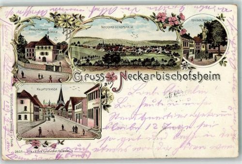 Neckarbischofsheim 1899 Haushaltungsschule Kriegerdenkmal Hauptstraße