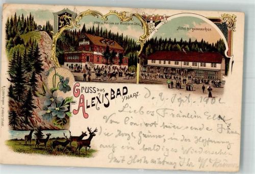 Alexisbad 1902 Wildwiese Hotel zur Klostermühle Hotel zur goldenen Rose