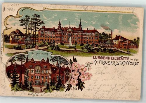 Cottbus 1901 Lithographie Kottbuser Stadtforst Lungenheilanstalt Haupteingang