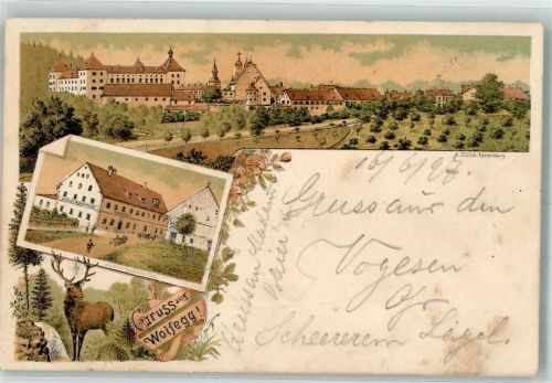 Wolfegg 1897 Hirsch Schloß Wolfegg Gasthaus