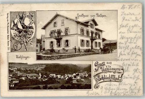 Ühlingen 1905 Rehbock Reh Gasthaus zum Posthorn Schlüchttal