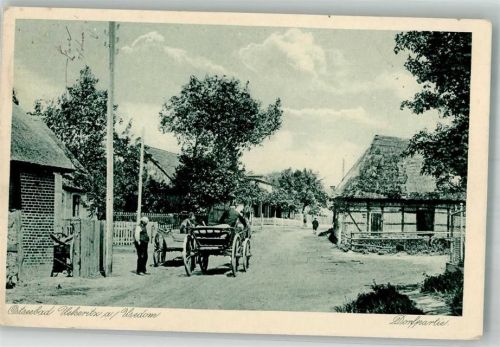 17459 O2235 Ückeritz , Usedom 1919 - Im Dorf Pferdefuhrwerke Dorfstrasse