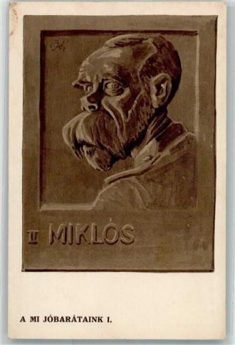 Karikatur II Miklos Zar