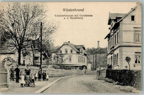 Wüstenbrand Schubertstraße m. Carolaturm a.d. Heidelberg