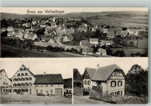 Wellendingen Villa Gasthaus