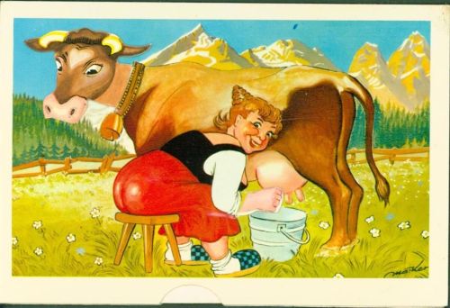 Kopf der Kuh und Melkhand beweglich