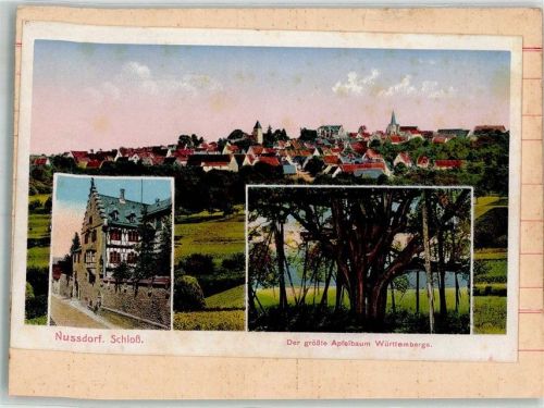 Nussdorf Original aufmontierte Verlagsmusterkarten Schloss Nussdorf Der größte Apfelbaum Württembergs