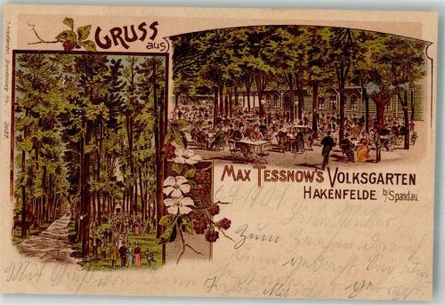10115 W1000 Hakenfelde 1901 Lithographie Gasthaus Tessnow's Volksgarten Gartenwirtschaft Waldweg