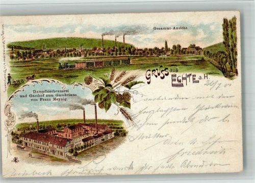Echte 1901 Lithographie Dampfbierbrauerei & Gasthaus zum Gambrinus Hopfen