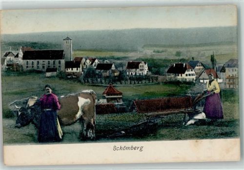 Schömberg 1917 Bäuerinnen Ochse Pflug