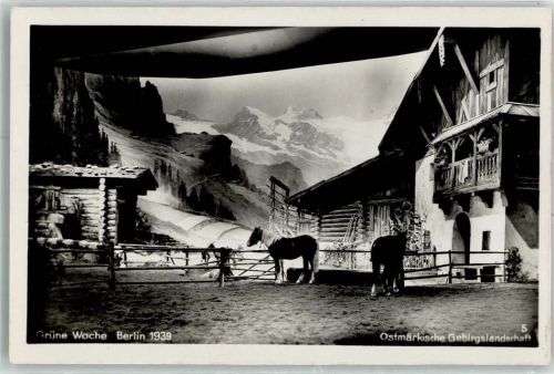 Charlottenburg Grüne Woche 1939 Pferde Ostmärkische Gebirgslandschaft Nr 5