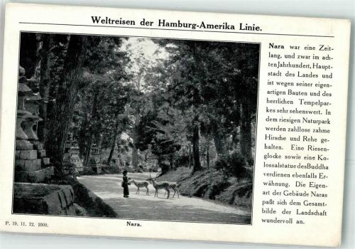 Nara Weltreisen der Hamburg Amerika Linie Hirsche Rehe Tempel Park