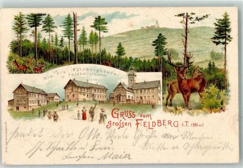 Feldberg die drei Feldberghäuser u. Feldbergturm