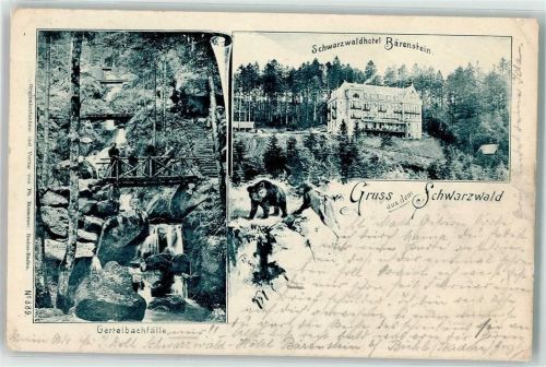 Bühl 1900 Gertelbachfälle Schwarzwaldhotel Bärenstein sign. F. Zuber