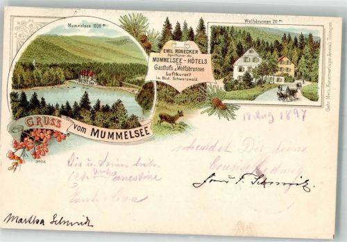 Seebach 1897 Lithographie Mummelsee Wolfsbrunnen Hotel