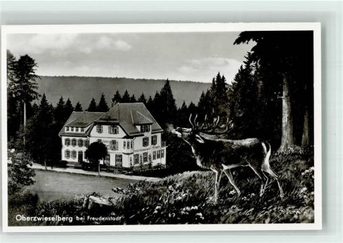 Zwieselberg Röhrender Hirsch über dem Hotel Gasthaus Hirsch