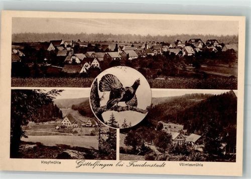 72297 W7291 Göttelfingen , Kr Freudenstadt Gebrauchsspuren Kropfmühle Völmlesmühle Auerhahn