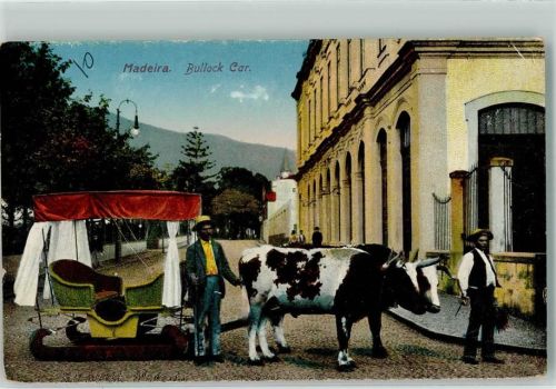 Madeira Bullock Car
