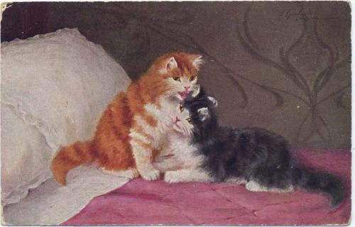 um 1910/20 2 kleine Katzen. Serie 1821.,TSN