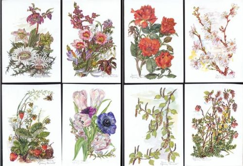 um 1970/80 11 tolle AK, Blumen, Sign. Anna Maria Schwarz,sign. Anna Maria Schwarz
