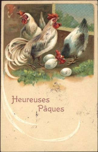 1908 Hahn, Hennen, Eier,D&eacute