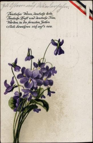 1916 Blumen, Gedicht,S.W.S.B.