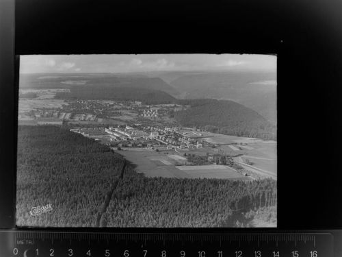 Calw