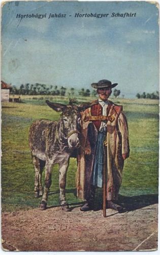 1917 Hortobagyer Schafhirte,