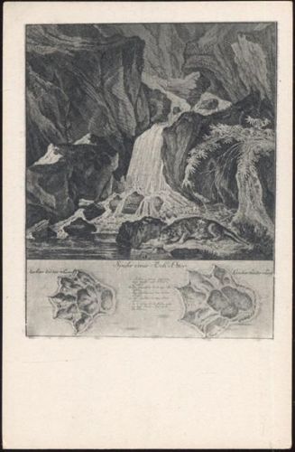 um 1920/30 Fisch Otter, Spur,O. Felsing,sign. Johann Elias Ridinger