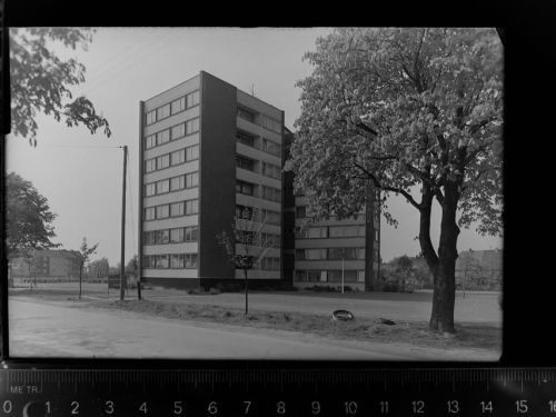 Friedrichsfeld