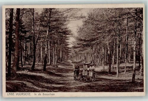 Lage Vuursche 1946 Fahrrad In de Bosschen