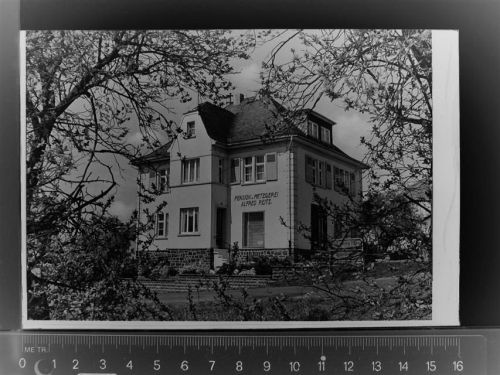 Fussingen Pension u. Metzgerei Alfred Reitz.