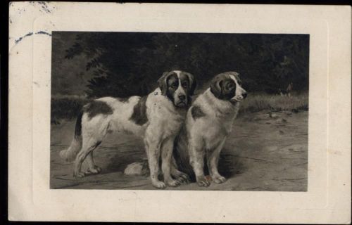 1910 Bernhardiner, Hunde