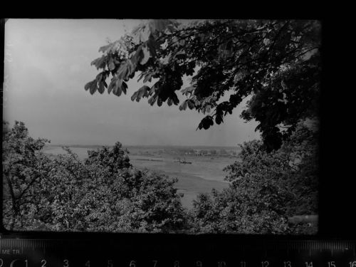 Hitzacker Elbblick