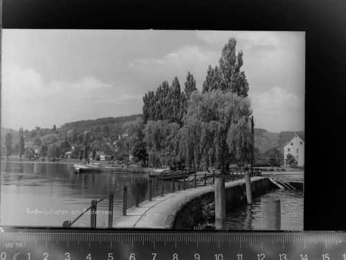 Bodman Ludwigshafen