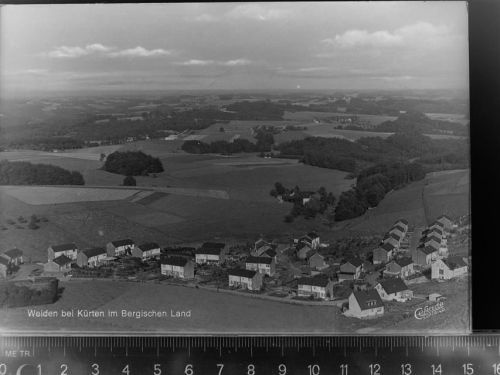 Weiden