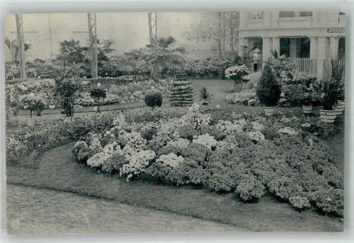 Gand 1913 Ausstellung Blumen