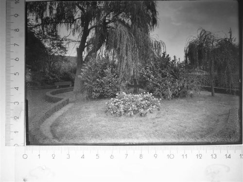 Alpen Park