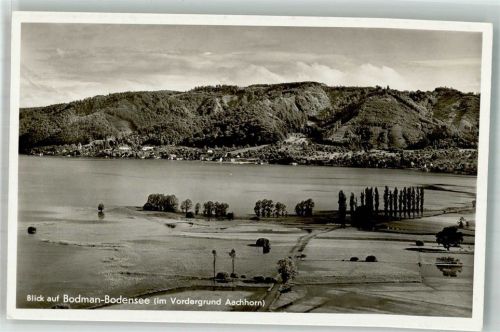 Bodman Panorama des Ortes mit Aachhorn