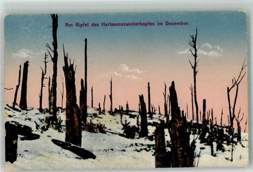 Wattwiller Gipfel Hartmannsweilerkopf Dezember Winter Schnee